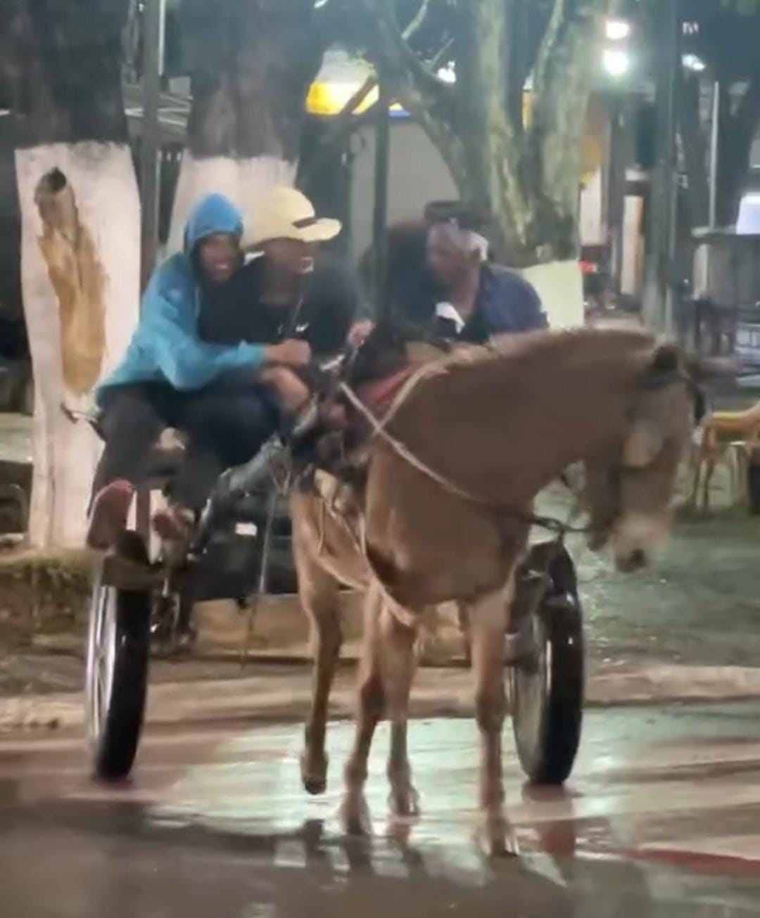 Rapazes fazem passeio com charrete e animal na Praça Tiradentes e causam indignação em defensores de animais